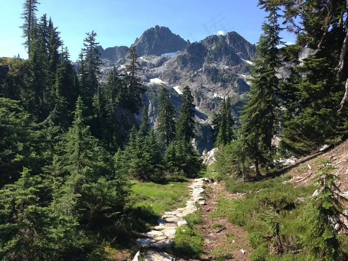 山，路径，性质，木，景观，树，步行