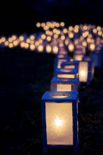 灯，圣诞灯饰，夜，黑暗，装饰