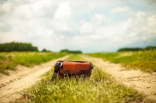 薰衣草,轿车,吃草的牛,飞机,风景,公路时尚复古包