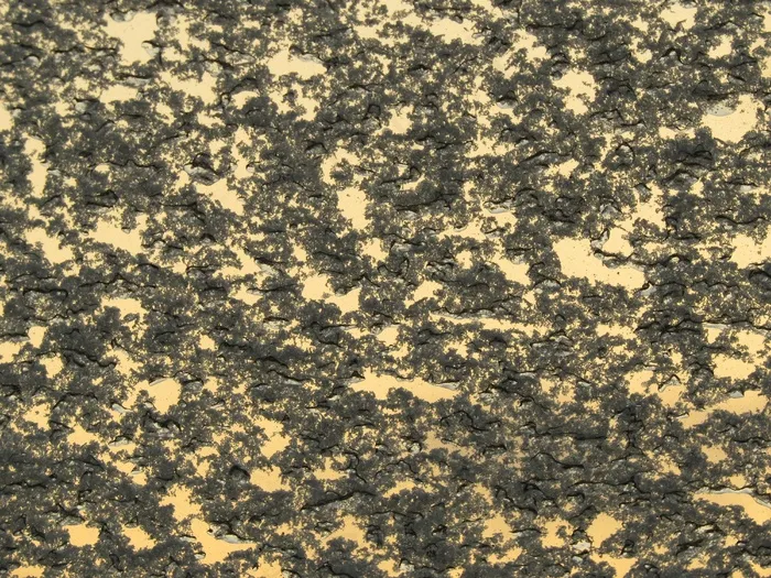 晶体，Eiskristalle，窗口，冰，冻结