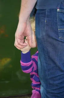 手,牵手,在一起,和平,团队,夫妇 手,牵手,在一起,和平,团队,夫妇