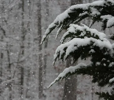 降雪,雪,冬天,风暴,雪花,下雪 降雪,雪,冬天,风暴,雪花,下雪