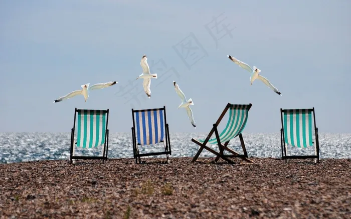 夏天，海滩，海鸥，躺椅，海，假期