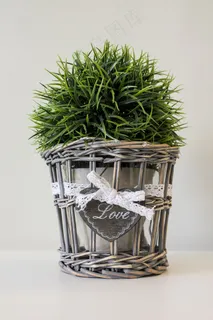假植物,芦苇,花盆,心的,爱,心 假植物,芦苇,花盆,心的,爱,心