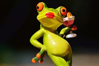 青蛙，小鸡，女士，傲慢，鸡尾酒，搞笑