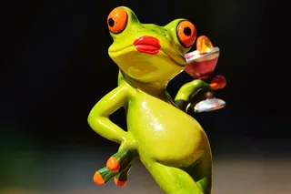 青蛙，小鸡，女士，傲慢，鸡尾酒，搞笑