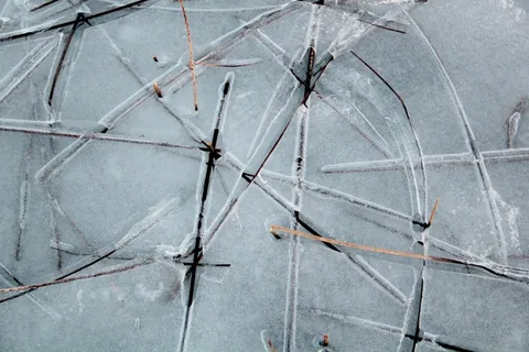 芦苇，冰，湖泊风景，冷，雪，冬冬季，性质，瑞典