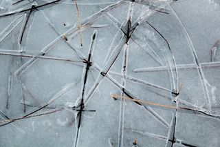 芦苇，冰，湖泊风景，冷，雪，冬冬季，性质，瑞典