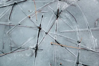 芦苇，冰，湖泊风景，冷，雪，冬冬季，性质，瑞典