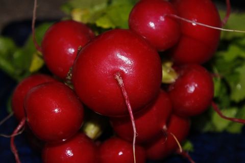 萝卜，萝卜，蔬菜