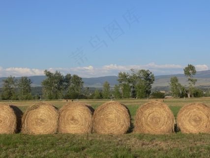 干草堆，干草，蒙大拿州，原野，农业