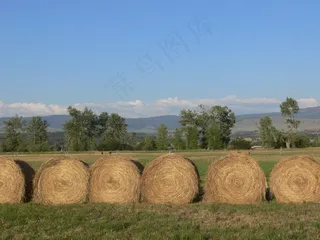 干草堆，干草，蒙大拿州，原野，农业