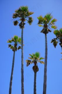 游泳池，游泳池，游泳，蓝色，水，刷新