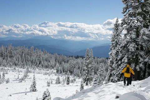 滑雪,冬季,雪,丘陵,山,树木,冷 滑雪,冬季,雪,丘陵,山,树木,冷