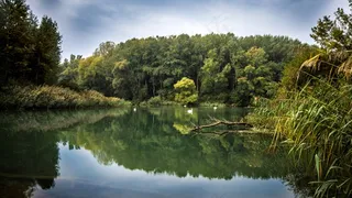 湖，水，性质，太阳，表面，森林，反射