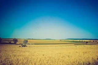 麦田,稻田,草原,粮田,小麦,天空场夏天农业