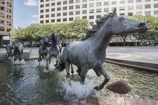 野马，雕塑，喷泉，青铜，艺术，艺术品