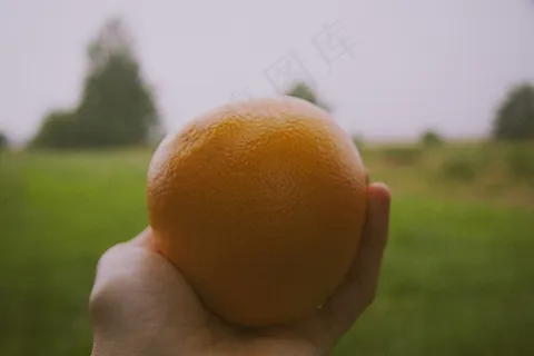 植物,玩具,桔子,枇杷,柚子,男子手持葡萄柚在户外