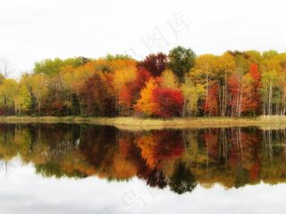 秋天，颜色，树木，秋天，秋天的落叶