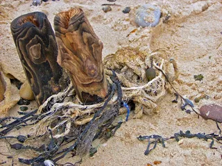 浮石和喷射，海岸，北海，海滩，海