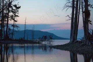 黄石湖，水，国家公园，树木