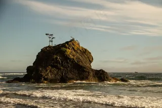 生活，美女，场面，海洋，海岸，海滩，大海，潮