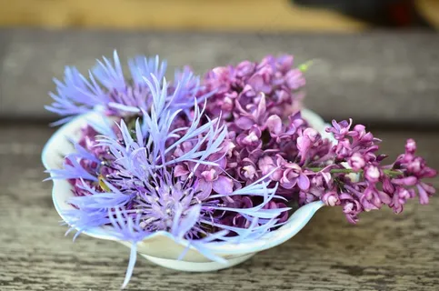 鲜花,花钵,大厅,瓷器,丁香,矢车菊 鲜花,花钵,大厅,瓷器,丁香,矢车菊
