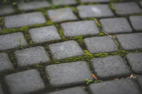 nuvenegro,砖石材,铺路石,竹制凉席,地板砖,用苔藓铺路石 nuvenegro,砖石材,铺路石,竹制凉席,地板砖,用苔藓铺路石