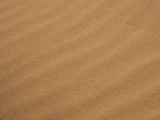 沙，海滩，波罗的海，沙滩，纹理