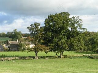 农村，英格兰，橡树，景观，农场，树木