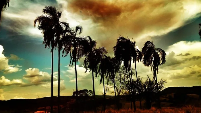 日落，太阳，自然，阳光