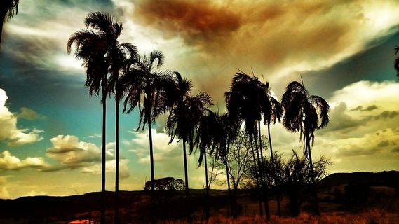 日落，太阳，自然，阳光