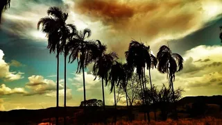 日落，太阳，自然，阳光