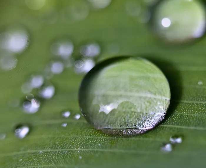 滴，水滴，水，雨滴，自然