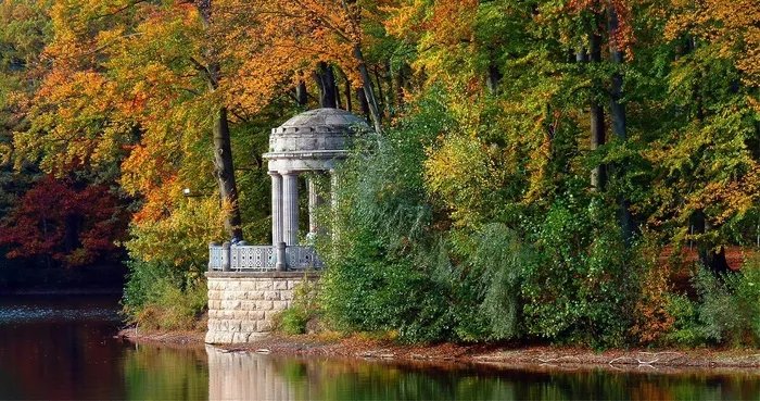 秋天，秋天的树叶，叶子，秋天的颜色，叶子