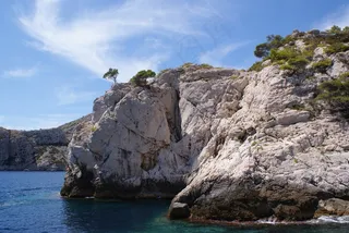 马赛，海，溪，地中海，溪，树