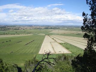 农业，耕地，地区，田野，地平线，田野