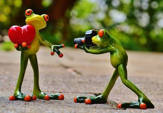 树蛙,猫眼树蛙,青蛙,花卉,玩具,青蛙与心和照相机的小雕像