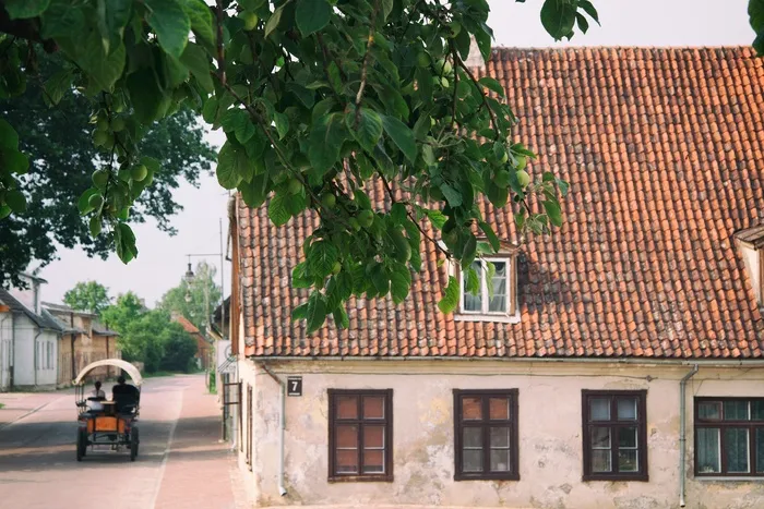 园林景观,建筑,自然公园,细叶榕,轿车,库尔迪加旧城区