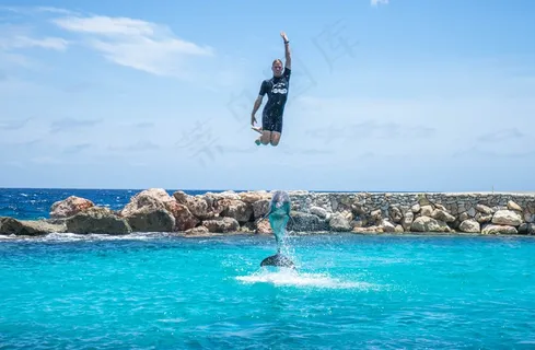 海豚，人，娱乐，水族馆，人，水