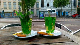 三通，薄荷，弗里施，小食，阿姆斯特丹，特色菜，T