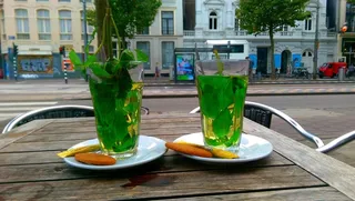 三通，薄荷，弗里施，小食，阿姆斯特丹，特色菜，T