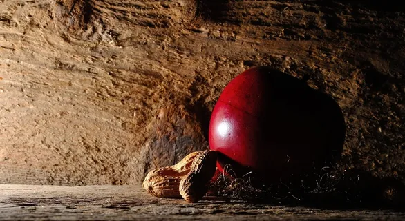 苹果,圣诞,花生,坚果,木材,装饰,装饰 苹果,圣诞,花生,坚果,木材,装饰,装饰