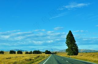 公路，风景，新西兰蓝天