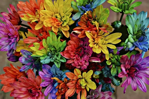 花园,鲜花,颜色,颜色,绽放,花瓣,盛开 花园,鲜花,颜色,颜色,绽放,花瓣,盛开