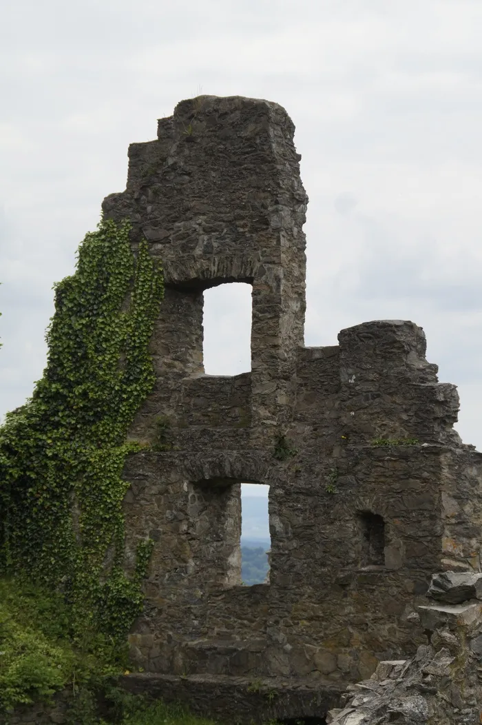 城堡，废墟，中世纪，Hohentwiel，Hegau