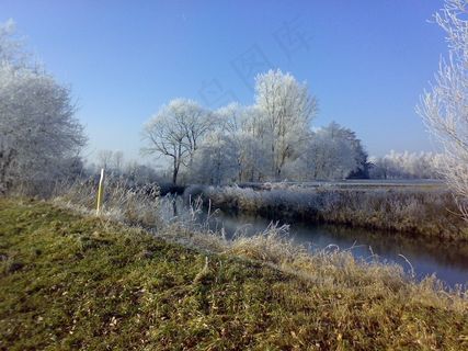 冬季，江，霜，景观，树木，冰，寒冬
