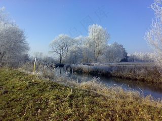 冬季，江，霜，景观，树木，冰，寒冬