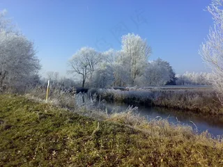 冬季，江，霜，景观，树木，冰，寒冬