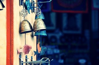 科，物种，景观